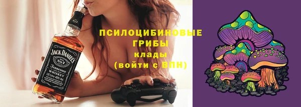 прущие крисы Каменногорск