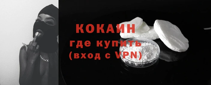 прущие крисы Каменногорск