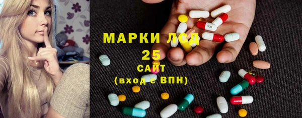 Альфа ПВП Каменка