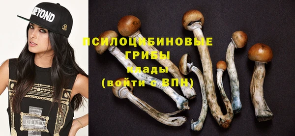 Альфа ПВП Каменка