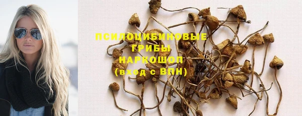 прущие крисы Каменногорск