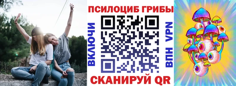 Галлюциногенные грибы Psilocybine cubensis  Карачев 